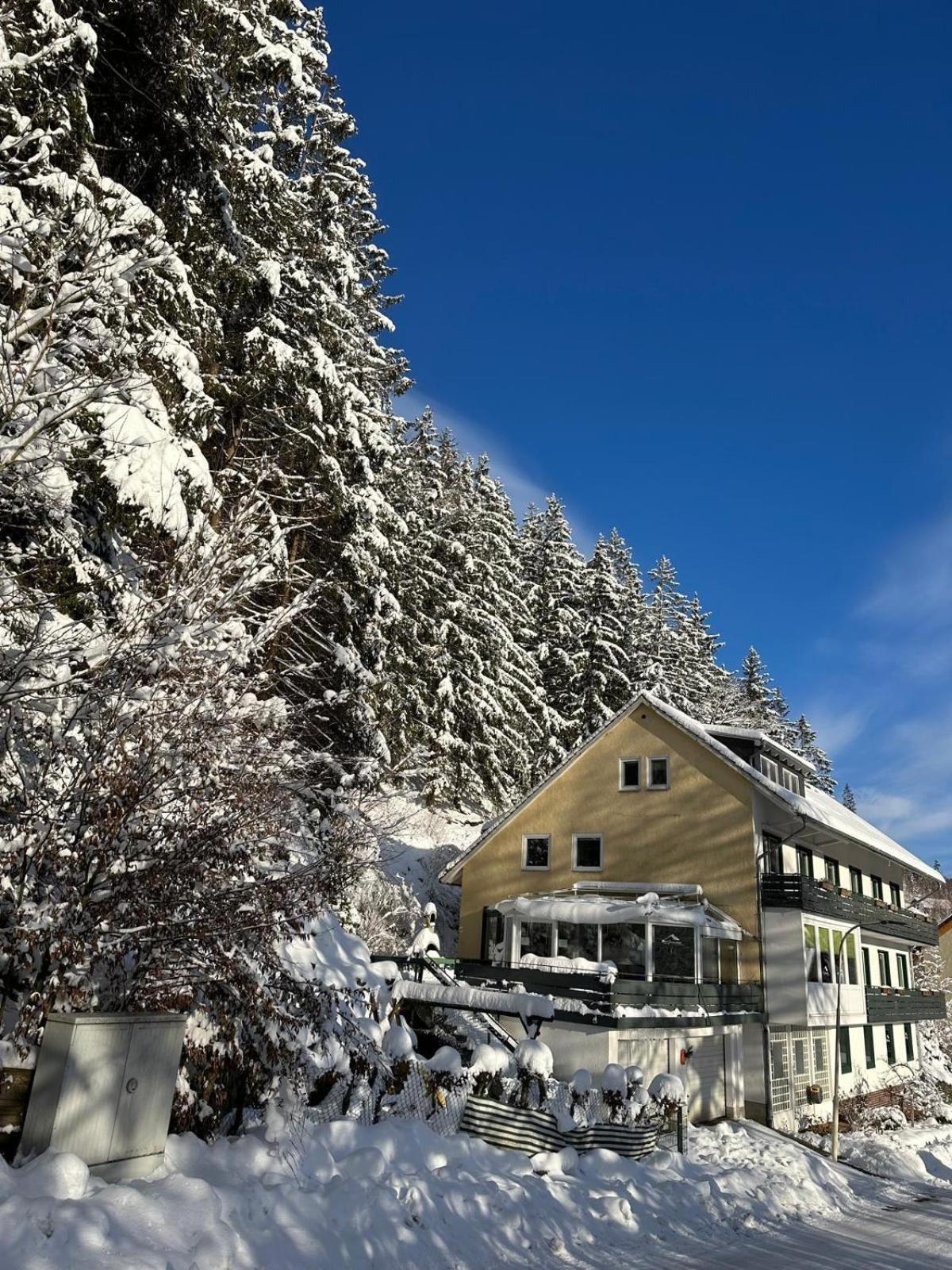Haus Georgenhöhe Wildemann Exterior foto